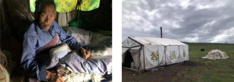 Mongolian Family Survey in June 2023