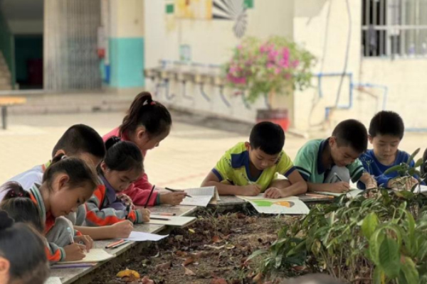 Sunshine Scholarship Program